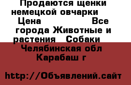 Продаются щенки немецкой овчарки!!! › Цена ­ 6000-8000 - Все города Животные и растения » Собаки   . Челябинская обл.,Карабаш г.